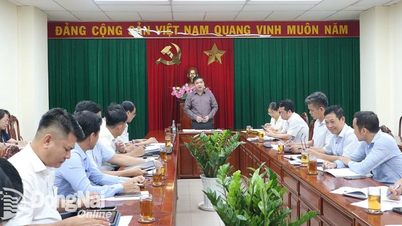 Dong Nai plans to assign commune level to manage district roads