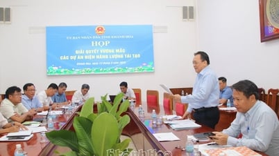 Giải quyết vướng mắc cho các dự án điện năng lượng tái tạo