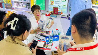 លំហូរអក្សរសិល្ប៍ទីក្រុងហូជីមិញ៖ កិច្ចខិតខំប្រឹងប្រែងដើម្បីបោះជំហានហួសពីព្រំដែន