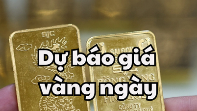 Tin tức, dự báo giá vàng ngày mai 14/5/2025 giá vàng trong nước tăng lên 122 triệu đồng/lượng, vàng thế giới về mốc 3300 USD