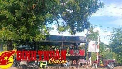 Sầu riêng giá rẻ chỉ là hàng dạt