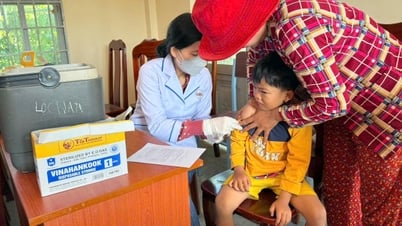 季節の変わり目に病気を予防し、管理する