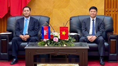 Le vice-président du Comité populaire de la ville, Hoang Minh Cuong, a reçu une délégation de la province de Preah Sihanouk, au Cambodge.