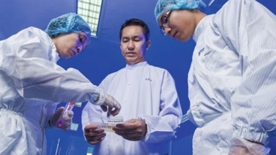 Nanogen – das Billionen-Dollar-Unternehmen für COVID-19-Impfstoffe unter dem Vorsitz von Herrn Ho Nhan