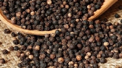 Pepper exports increased by 58% in value