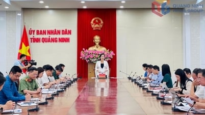 Đảm bảo tổ chức an toàn, nghiêm túc Kỳ thi tốt nghiệp THPT năm 2025 và tuyển sinh đầu cấp năm học 2025 - 2026