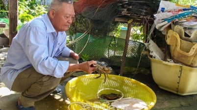Khiếm khuyết không ngăn được chí làm giàu