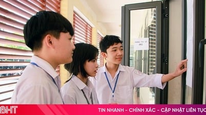 Le Comité permanent du Comité provincial du Parti de Ha Tinh oriente les questions clés relatives à l'éducation