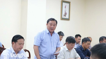 Đồng Nai đề xuất mô hình tổ chức Ban Quản lý dự án đầu tư xây dựng tỉnh, Trung tâm Phát triển quỹ đất tỉnh khi thực hiện mô hình chính quyền địa phương 2 cấp