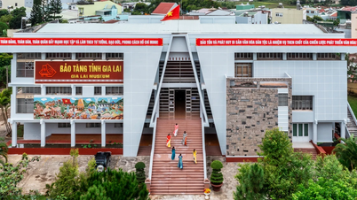 Organisation von zwei Ausstellungen: „Revolutionärer Weg – Genosse Ho Chi Minh in China“ und „Han-Nom-Erbe in der Provinz Gia Lai“.