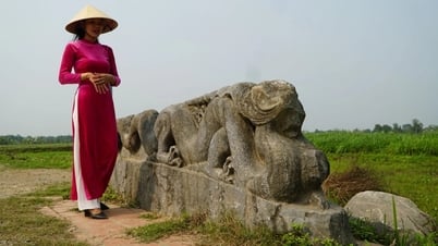 Chi 90 tỷ đồng khai quật Thành nhà Hồ: Phát lộ nhiều công trình độc đáo