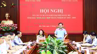 Preparar bien los borradores de documentos del Congreso Provincial del Partido de Bac Ninh (después de la fusión) para el período 2025-2030