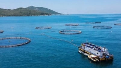 Ngành thủy sản thích ứng biến động thương mại toàn cầu