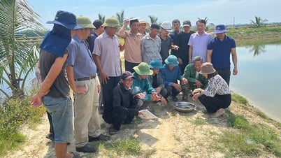 Transfert des techniques de culture et d'élevage aux agriculteurs