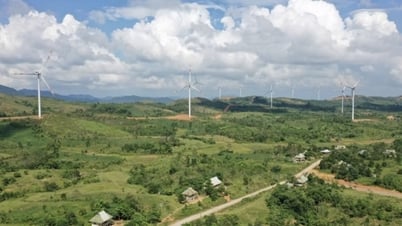 Làm gì để doanh nghiệp miền Trung tiếp cận tín dụng xanh?