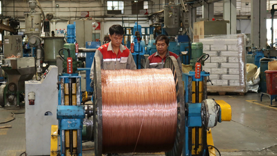 Dong Nai បានបង្កើតក្រុមការងារចំនួន ៨ ដើម្បីរាប់ដី និងទ្រព្យសម្បត្តិរបស់ក្រុមហ៊ុននៅសួនឧស្សាហកម្ម Bien Hoa 1។