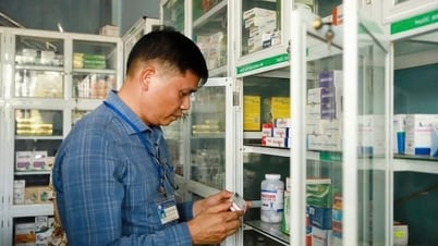 ラオカイ省、医薬品や機能性食品を扱う多くの施設に罰金を科す