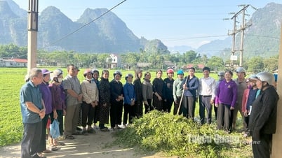 Tập huấn kỹ thuật sản xuất và quản trị vùng nguyên liệu lạc huyện Lâm Bình
