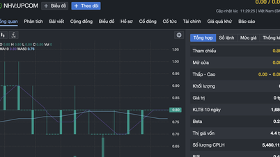 บริษัทมอบสินทรัพย์เกือบ 96% ให้กับซีอีโอเพื่อการลงทุนทางการเงิน