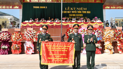 Celebrating the 60th Anniversary of the Traditional Day of Regiment 3, Division 324, Military Region 4