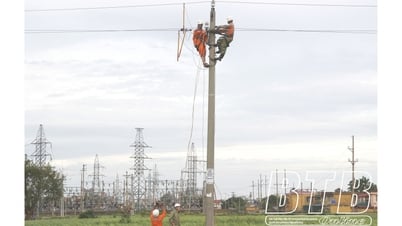 東鴻電力：安全で安定した電力供給の確保