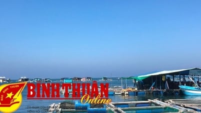 海上いけす養殖は7つの地域に集中しています。