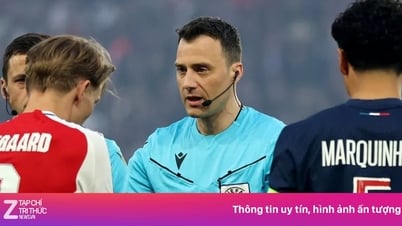 Schiedsrichter, der das Ergebnis manipulierte, leitete das Endspiel zwischen MU und Tottenham