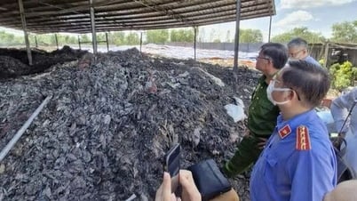 Xử lý nghiêm vi phạm môi trường, bảo vệ phát triển bền vững