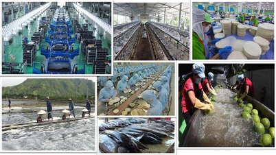 Tổng Bí thư Tô Lâm và tư duy lý luận mới về kinh tế tư nhân