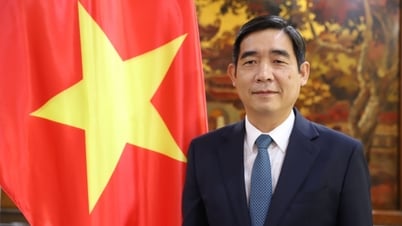 Đại sứ Phạm Việt Hùng: Thời điểm 'chín muồi' đưa quan hệ Việt Nam-Thái Lan lên tầm cao mới, thực chất và hiệu quả hơn