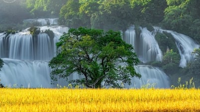 ភាពរឹងមាំថ្មីសម្រាប់តំបន់ទេសចរណ៍ទឹកធ្លាក់ Ban Gioc