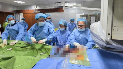 Thong Nhat Hospital successfully performed transcutaneous aortic valve replacement