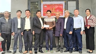 ヴィンフック市は、仮設住宅や老朽化した住宅がなくなった国内15地域のうちの1つである。