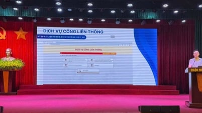 Ngo Quyen District trains knowledge and skills to form digital citizens for high school students
