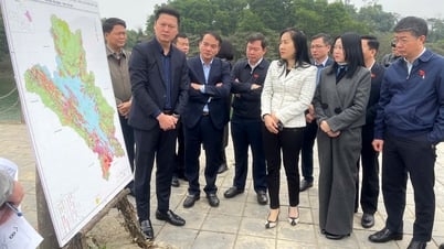 옌빈은 예산 징수 업무 이행을 촉진합니다.