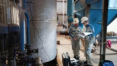 Giá điện tăng 4,8%, doanh nghiệp tìm cách thích ứng, Công ty cổ phần đầu tư Royal Việt Nam,