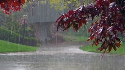 今日の天気（5月13日）：夕方には多くの場所でにわか雨や雷雨があります