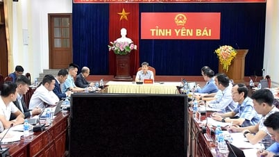 Tập trung tháo gỡ khó khăn đẩy nhanh tiến độ các dự án của Công ty cổ phần Erex