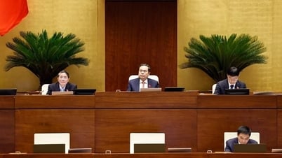 하이퐁시에 자유무역지대 설립 제안