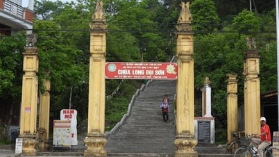 Góp ý Hồ sơ Quy hoạch bảo quản, tu bổ, phục hồi di tích quốc gia đặc biệt chùa Đọi Sơn