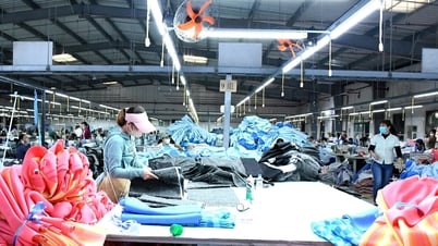 Prime Minister requests to rectify discipline and improve business environment