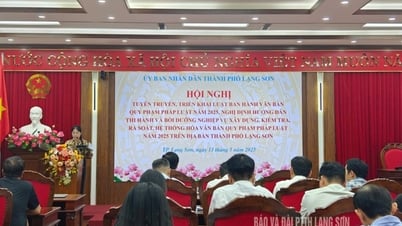 Lang Son City: Propagating and implementing the Law on Promulgation of Legal Documents in 2025 - Lang Son Newspaper and Radio and Television Station