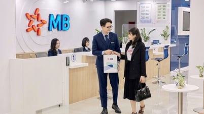 Banco Conjunto Comercial Militar: Promoviendo la financiación verde para el desarrollo sostenible