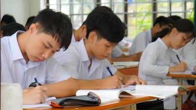 ดานังวางแผนรับนักเรียนที่ย้ายโรงเรียนหลังการควบรวมกิจการ