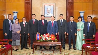 Le secrétaire du comité du parti de la ville, Le Tien Chau, a reçu le secrétaire du comité du parti provincial et gouverneur de la province de Vientiane, au Laos