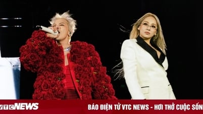 Giá vé xem G-Dragon và CL biểu diễn tại Hà Nội: Dự kiến cao nhất 6,5 triệu đồng