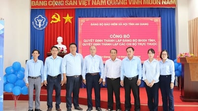 ប្រកាស​សេចក្តី​សម្រេច​បង្កើត​គណៈកម្មាធិការ​បក្ស​ធានា​រ៉ាប់រង​សង្គម​ខេត្ត​អានយ៉ាង