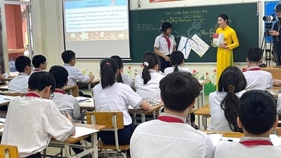 中等教育卒業資格の廃止は学習機会に影響を与えない