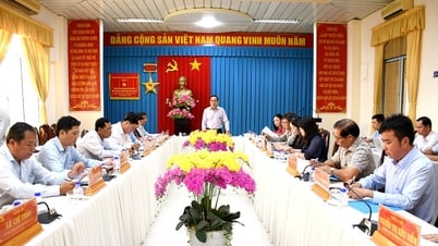 Tập trung xây dựng phương án nhân sự cấp ủy đảm bảo tỷ lệ nữ, dân tộc theo quy định
