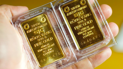 Each tael of gold bar turns up 1 million VND